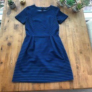 Madewell | Royal Blue and Black Striped Dress